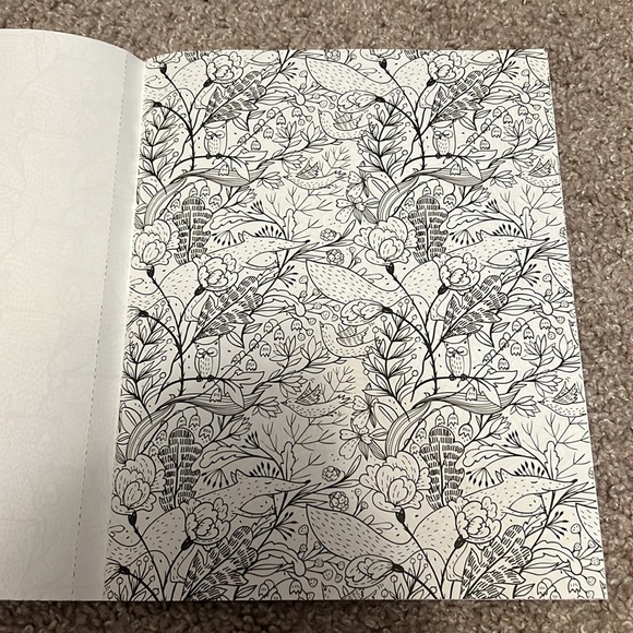 Set of 4 coloring books (2 Disney Princess and 2 adult) - Picture 15 of 16